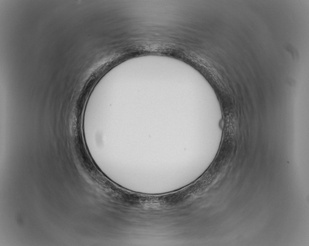 X0000111210587200907291253