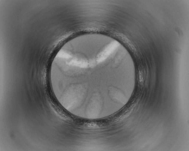 X0000111210588200907291253