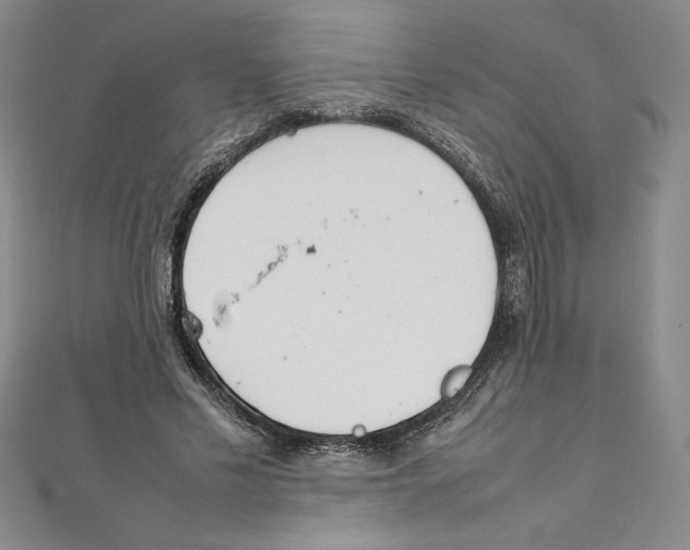 X0000111210589200907291253