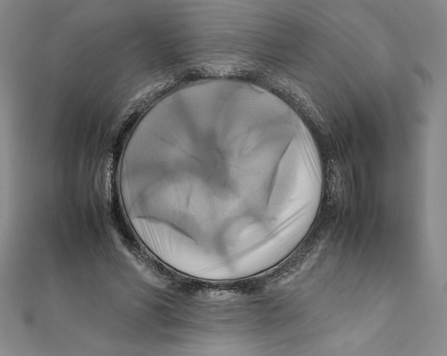 X0000111210590200907291253