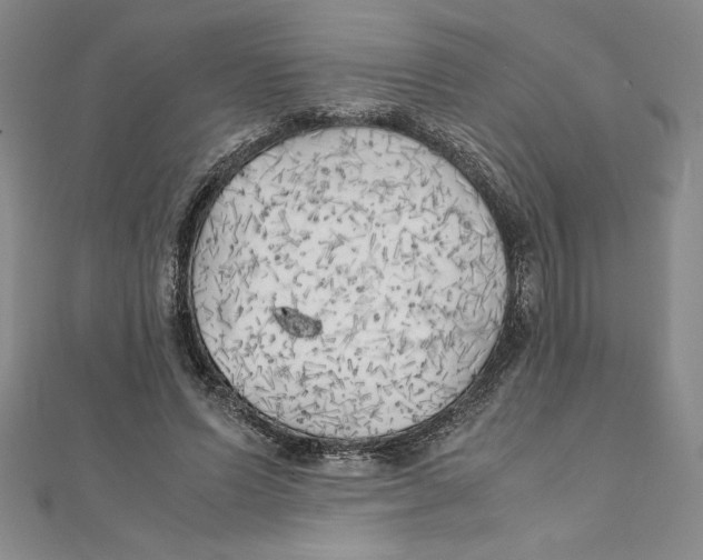 X0000111210591200907291253