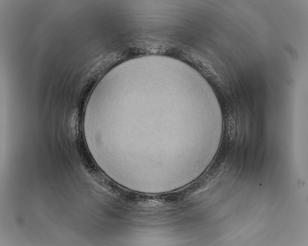 X0000111210594200907291253