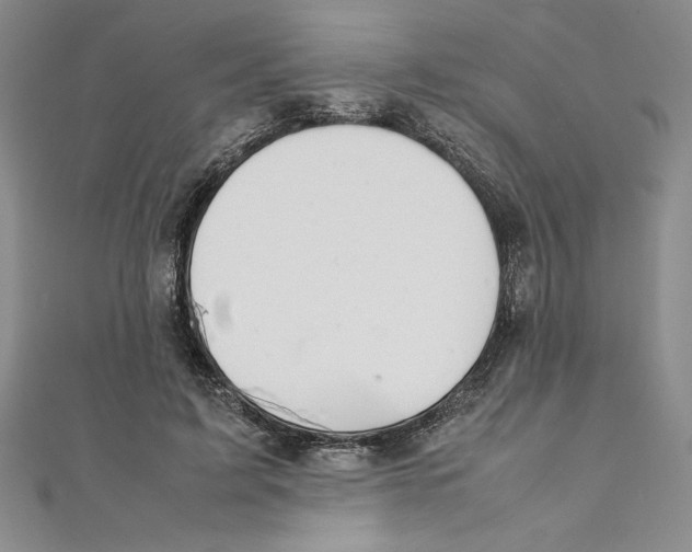 X0000111210595200907291253