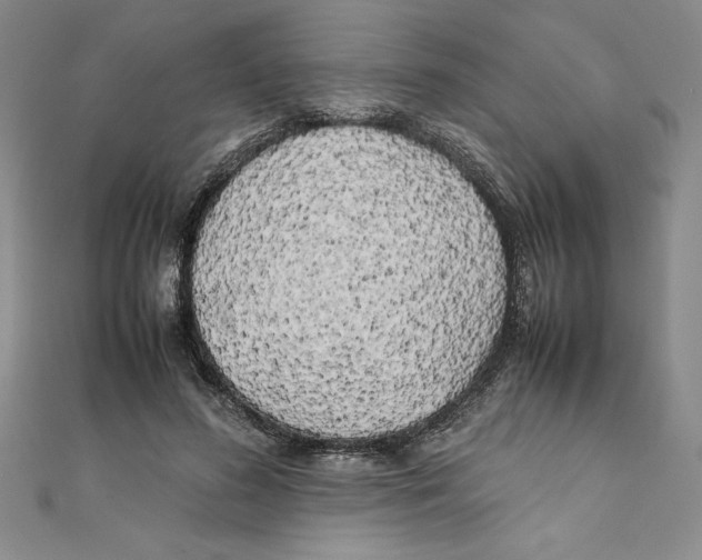 X0000111210596200907291253