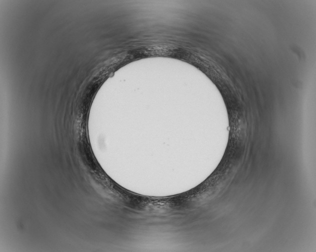 X0000111210599200907291253