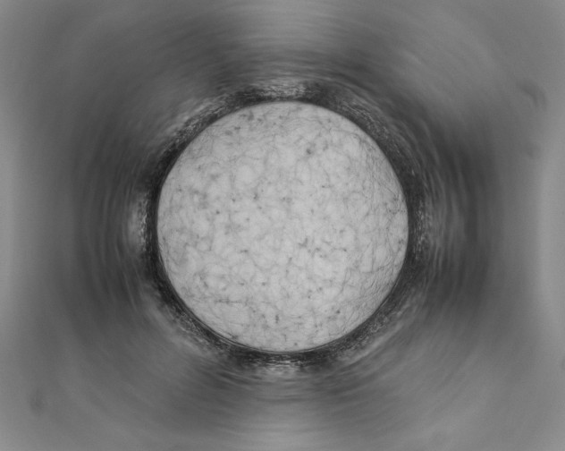 X0000111210600200907291253