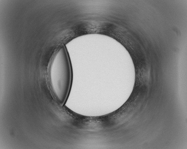 X0000111210601200907291253