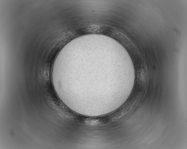 X0000111210602200907291253