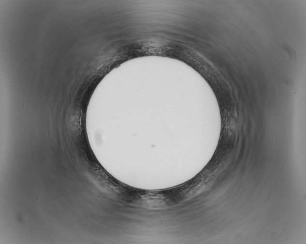 X0000111210603200907291253