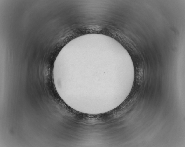 X0000111210608200907291253