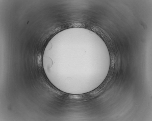 X0000111210610200907291253