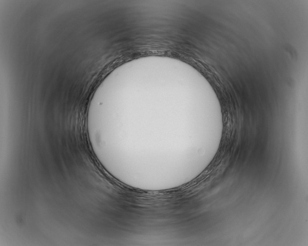 X0000111210612200907291253