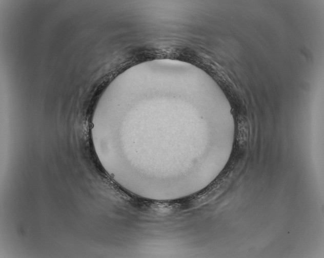 X0000111210613200907291253