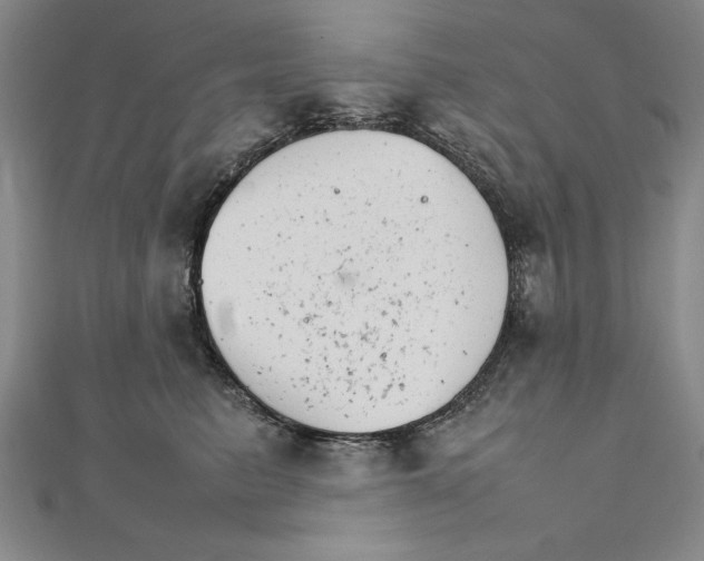 X0000111210615200907291253