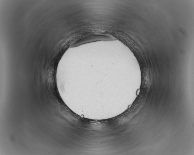 X0000111210616200907291253