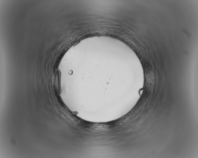 X0000111210617200907291253