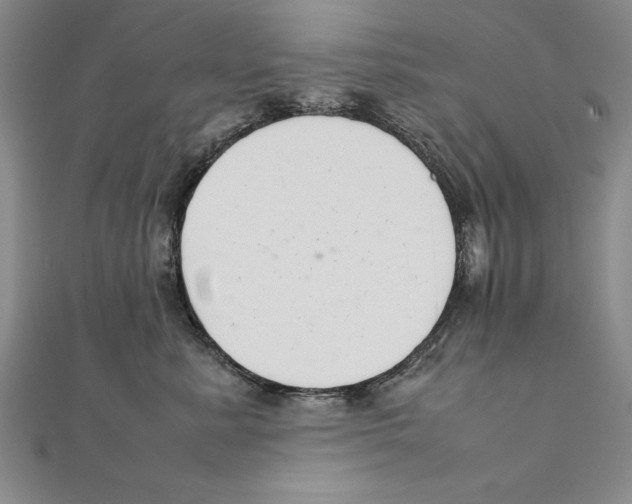 X0000111210619200907291253