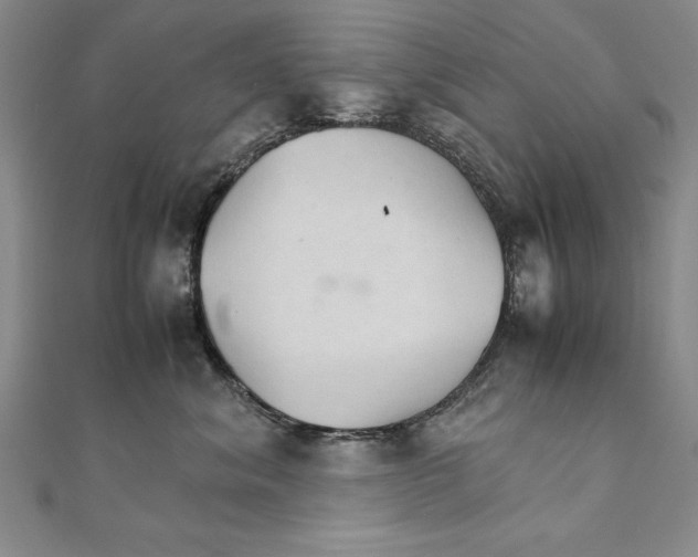 X0000111210620200907291253