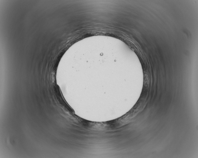 X0000111210621200907291253