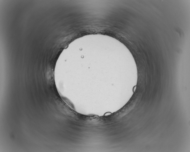 X0000111210624200907291253