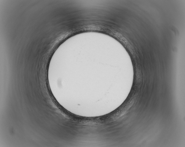 X0000111210625200907291252