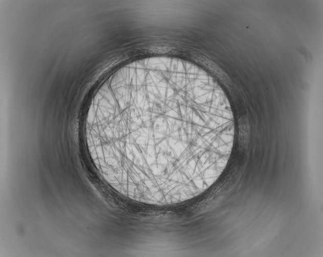 X0000111210626200907291252