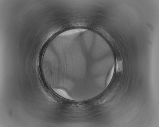 X0000111210627200907291252