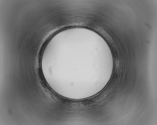 X0000111210628200907291252