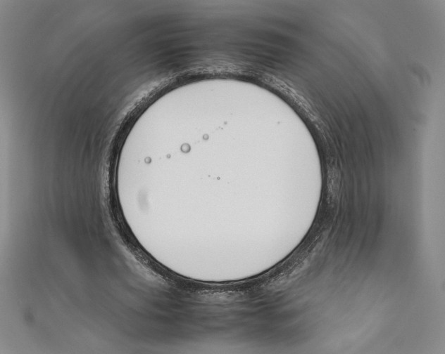 X0000111210629200907291252