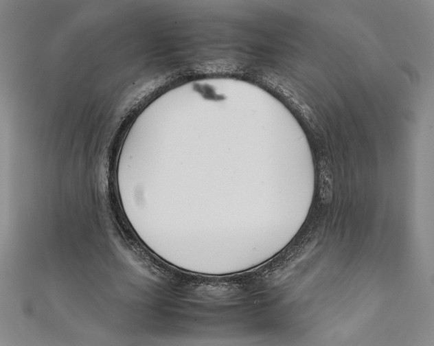 X0000111210631200907291252