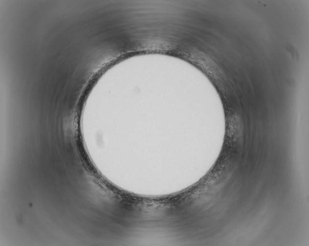 X0000111210632200907291252