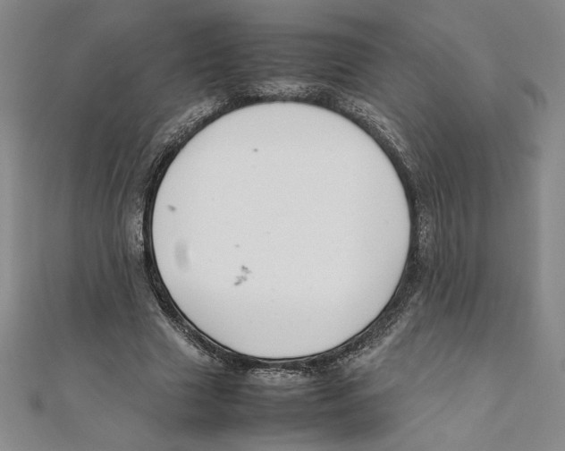 X0000111210633200907291252