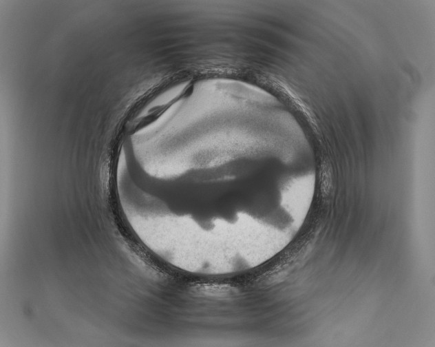 X0000111210637200907291252