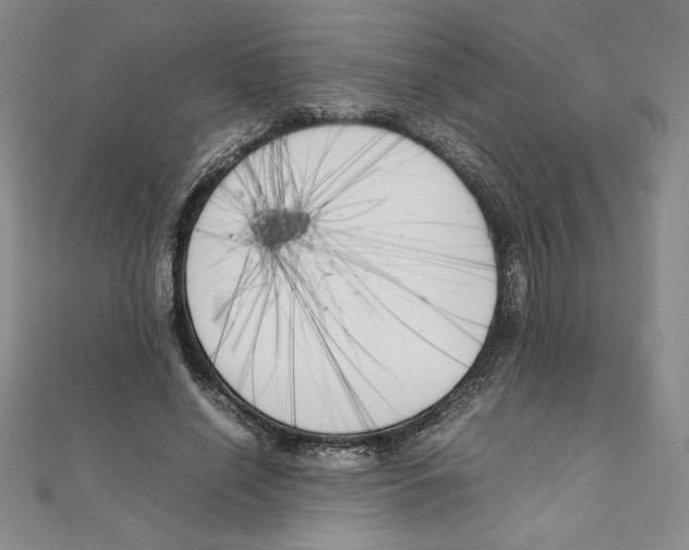 X0000111210638200907291252