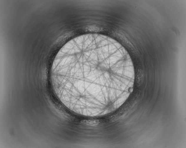 X0000111210639200907291252