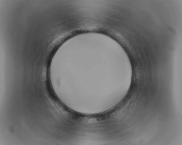 X0000111210640200907291252