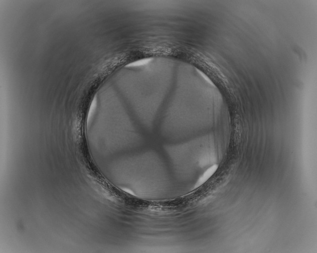 X0000111210641200907291252