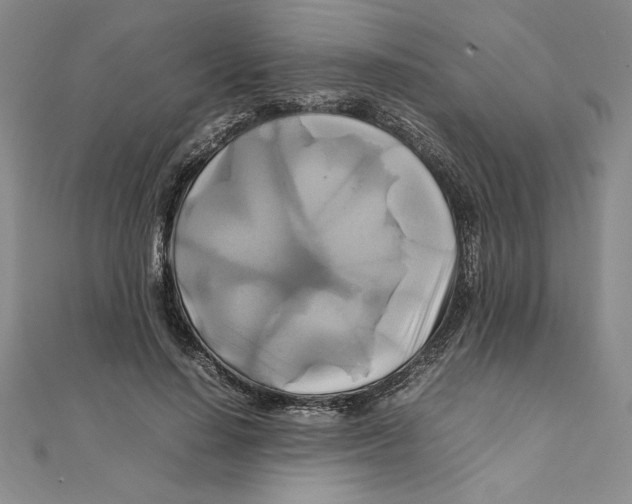 X0000111210644200907291252