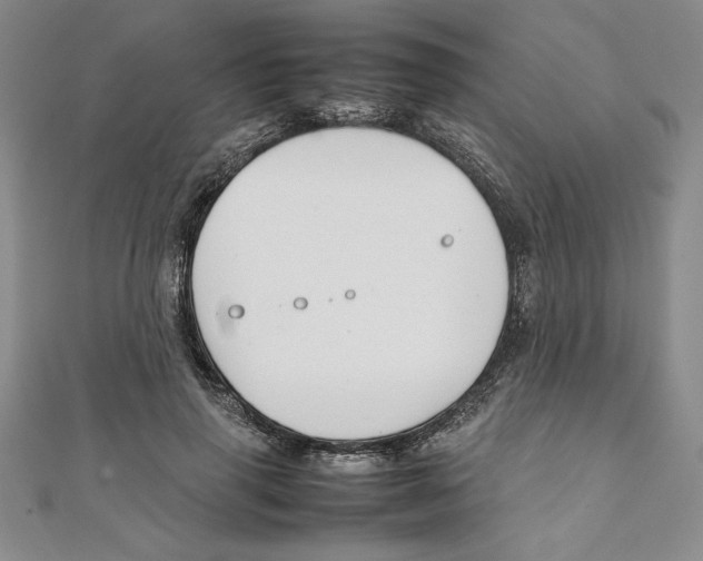 X0000111210645200907291252