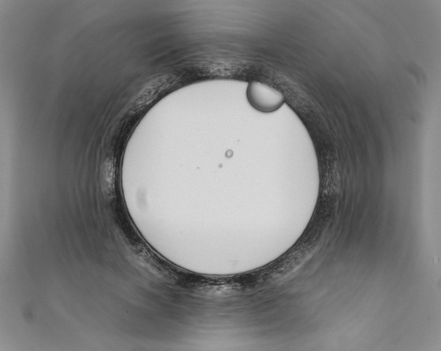 X0000111210646200907291252