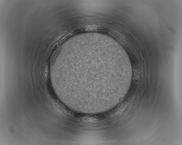 X0000111210648200907291252