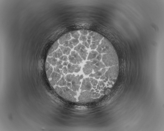 X0000111210649200907291252