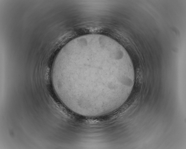 X0000111210650200907291252