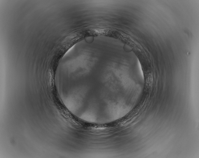 X0000111210651200907291252