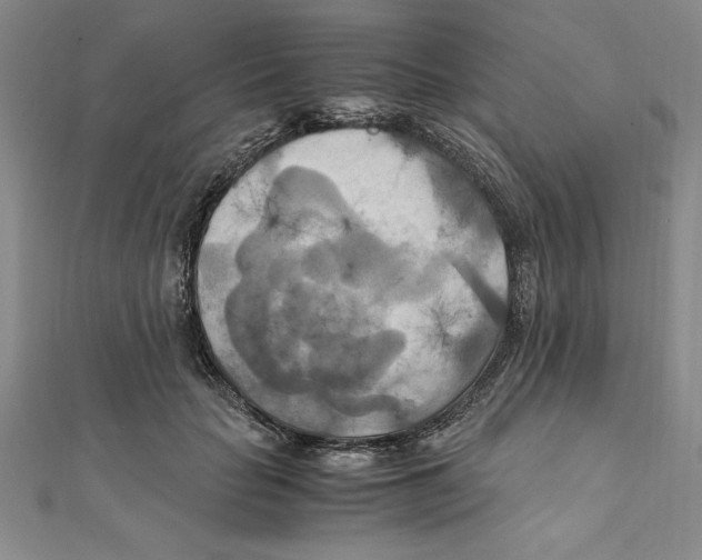 X0000111210653200907291252