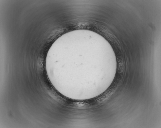 X0000111210654200907291252