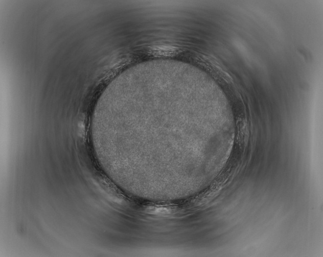 X0000111210655200907291252