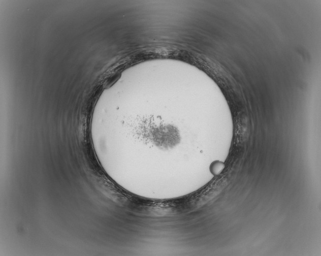 X0000111210656200907291252