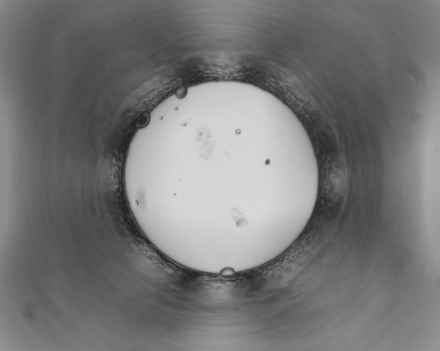 X0000111210658200907291253