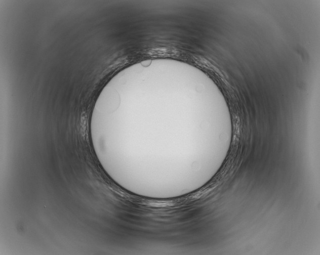 X0000111210659200907291253